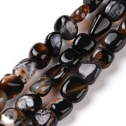 Fili di perline agata nero naturale, pietra burrattata, pepite, 9~13.5x8~9.5x4~8mm, Foro: 0.8 mm, circa 42~43pcs/filo, 15.35~15.94'' (39~40.5 cm)