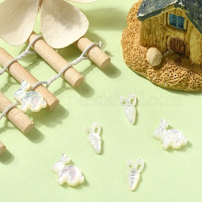 6 шт. BSHE-CJ0001-05-1