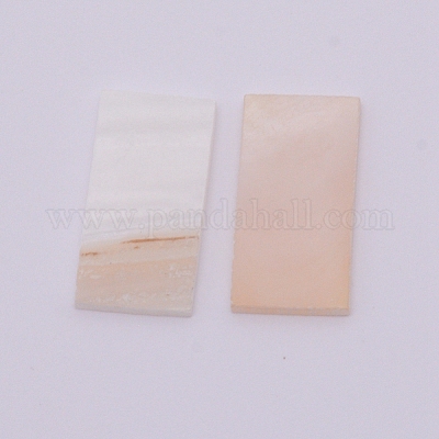 Оболочка жемчуг SSHEL-WH0002-03-1