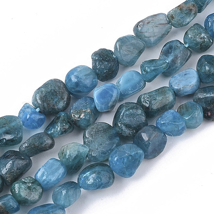 Natural Apatite Beads Strands G-S363-046A-1