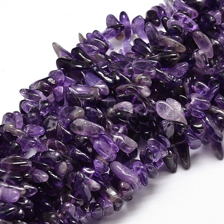 Natural Amethyst Chip Beads Strands X-G-E271-11-1