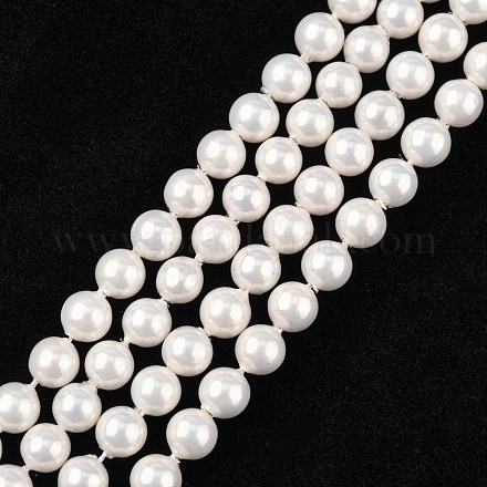 Chapelets de perles en coquille BSHE-R146-6mm-02-1