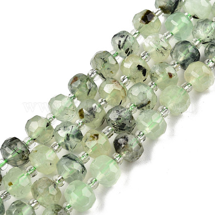 Chapelets de perles en préhnite naturelle G-N327-08H-1