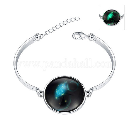 Constellation/Zodiac Sign Series Aquarius Starry Sky Luminous Bracelets BJEW-BB14692-1
