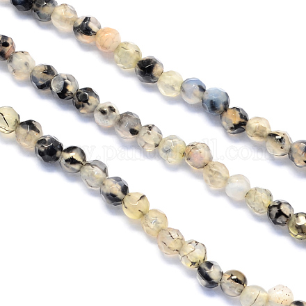 Faceted Round Natural Agate Beads Strands G-S135-12mm-06-1