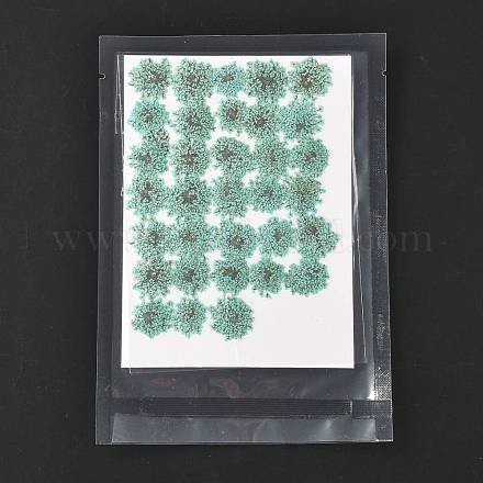 Gepresste Trockenblumen DIY-K032-58H-1