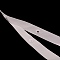 Polyester Ribbons, with Plastic Buttons, White, 18x0.5mm