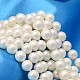 Tondo guscio fili di perle perla BSHE-L011-12mm-A013A-1