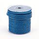 Braided Leather Cord WL-E025-6mm-A17-2