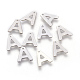 304 Stainless Steel Charms STAS-F175-02P-A-2