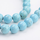 Natural Magnesite Beads Strands TURQ-P027-28-1