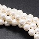Chapelets de perles de coquille X-BSHE-E008-4mm-12-1