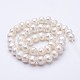 Natural Cultured Freshwater Pearl Beads Strands PEAR-F004-55-2