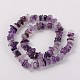 Natural Amethyst Beads Strands G-J234-10-2