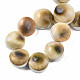 Brins de perles de coquille de trompette naturelle SSHEL-N034-113-4