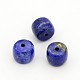 Natural Lapis Lazuli Column Beads G-M159-06-A-1