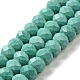 Dyed Natural Howlite Beads Strands G-G023-A01-01C-1