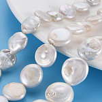 Chapelets de perles en Keshi naturel, perle de culture d'eau douce, plat rond, couleur de coquillage, 12~17x12~16x3~9mm, Trou: 0.6mm, Environ 27~29 pcs/chapelet, 15.75 pouce (40 cm)