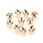 Вакуумное покрытие pvd колпачки из нержавеющей стали 304 STAS-I120-30-G