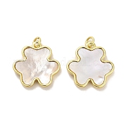 Латунные подвески из ракушек KK-K365-08A-G