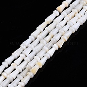 Нити бусин из натуральных пресноводных ракушек SHEL-N026-213-A01