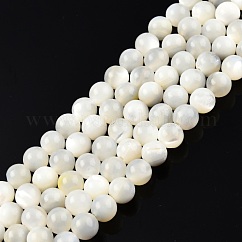 Hilos de cuentas de concha blanca natural, redondo, 6mm, agujero: 1 mm, aproximamente 61~67 pcs / cadena, 15.16 pulgada ~ 14.96 pulgadas (38~38.5 cm)