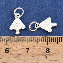 Подвески на дерево из 925 серебряной монеты&nbsp;STER-A049-03S