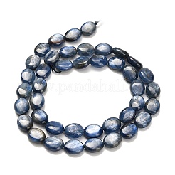 Натуральный кианитовые бисер пряди&nbsp;G-H335-D01-8x10mm-A