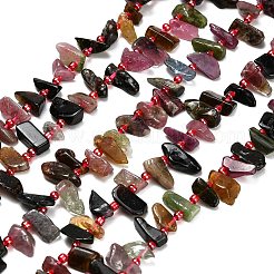 Нити из натуральных разноцветных турмалиновых бусин&nbsp;G-Z124-C02-01