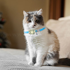 4 шт. двухцветный полиэстеровый галстук-цветок для собак с регулируемым воротником&nbsp;AJEW-GL0002-59