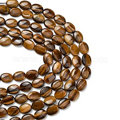 Природных тигровый глаз бисер нитей&nbsp;G-B178-E01-20x15mm