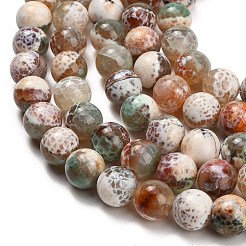 Brins de perles d'agate craquelée au feu naturel (teintes et chauffées)&nbsp;G-K425-A03-14mm