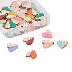 Двухцветные кабошоны из смолы и дерева RESI-CJ0001-97