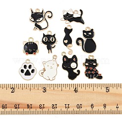 20шт 10 стиля подвески из сплава с эмалью&nbsp;ENAM-FP0003-15