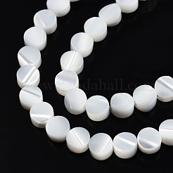 Fili di perline di conchiglia trochus naturale&nbsp;SSHEL-N034-165