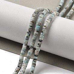 Abalorios naturales larimar hebras&nbsp;G-Q024-B03-01