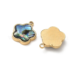 Natur Paua Muschel Anhänger&nbsp;STAS-G397-12G-02