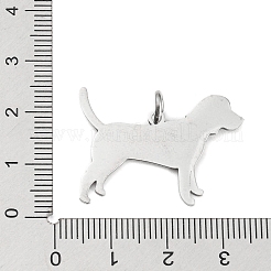 Подвески из нержавеющей стали 304&nbsp;STAS-E205-09P