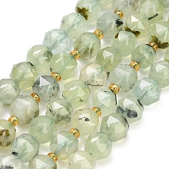 Chapelets de perles en préhnite naturelle&nbsp;GG-CBA3921-B13-8mm