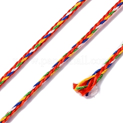 Разноцветный декоративный нейлоновый витой шнур NWIR-C005-01A