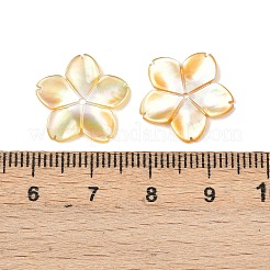 Резные бусины из натуральной желтой ракушки SSHEL-B006-07