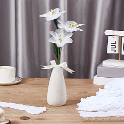 24 шт. нейлоновые шелковые носки для женщин&nbsp;AJEW-FG0005-18A