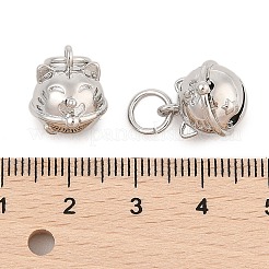 Messing Anhänger & Charms&nbsp;KK-L223-001P