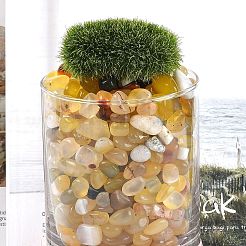 Окрашенные и нагретые натуральные бусины из агата&nbsp;G-J402-04C-01