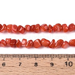 Нити бусин из натуральных пресноводных ракушек&nbsp;SHEL-N037-04D