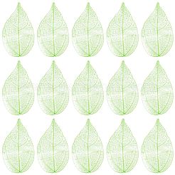 100 pièce de fournitures d'artisanat en feuilles de fleurs séchées&nbsp;AJEW-CP0009-41A