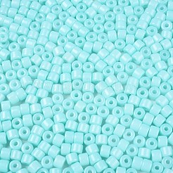 Непрозрачный стеклянный бисер с краской для выпечки SEED-T008-02N