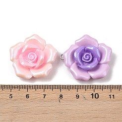 Подвески из непрозрачной смолы&nbsp;RESI-B035-01