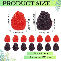 32шт 2 цвета ПВХ пластик имитация малиновый&nbsp;AJEW-ME0001-67