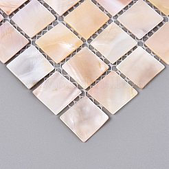 Cabujones de mosaico de conchas de agua dulce naturales&nbsp;SHEL-Q029-05B